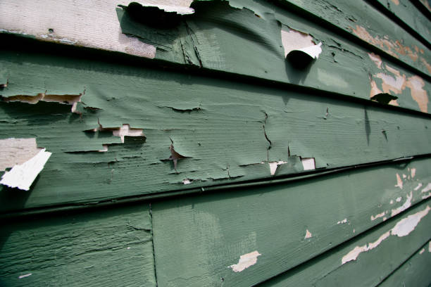 Best Residential Vinyl Siding Installation  in Mvern, AL